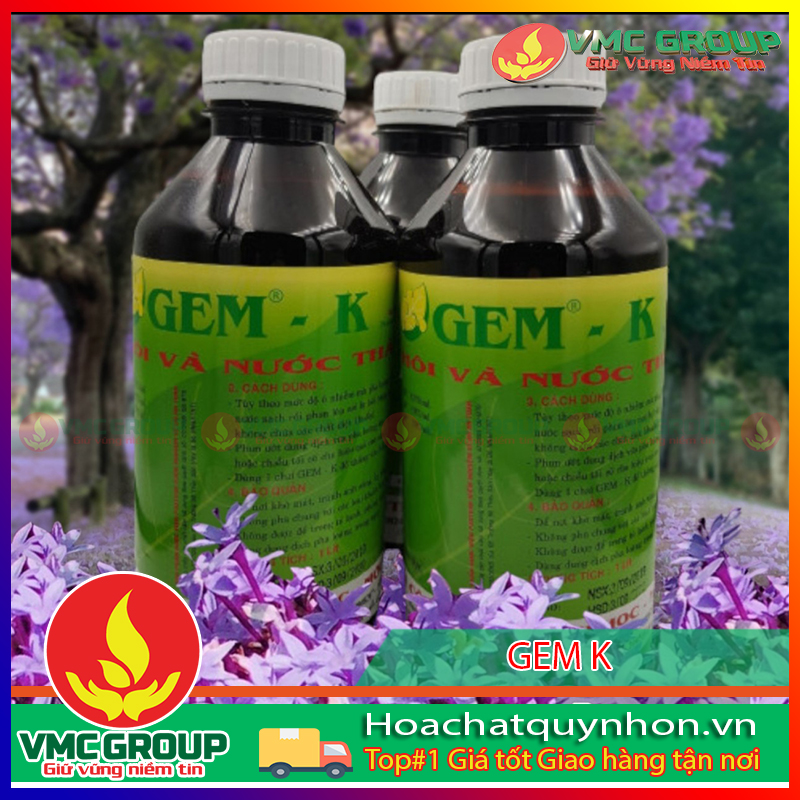 Avata hoachatquynhon