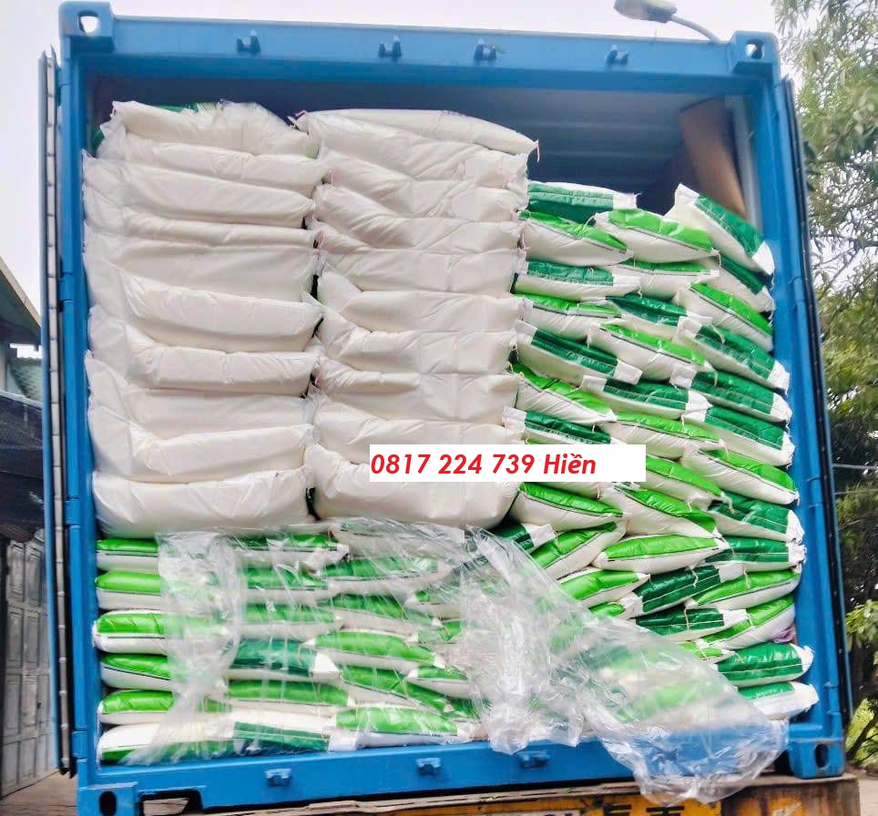 489478719_2125481901291278_2716170993615887469_n