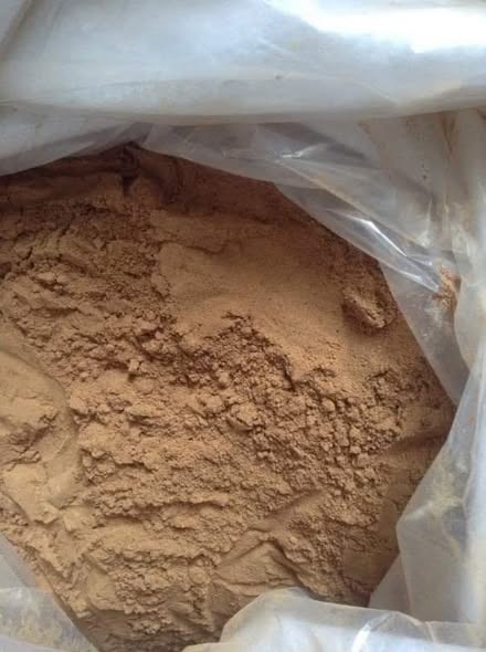 499814698_122231536784239352_3724992522827473274_n