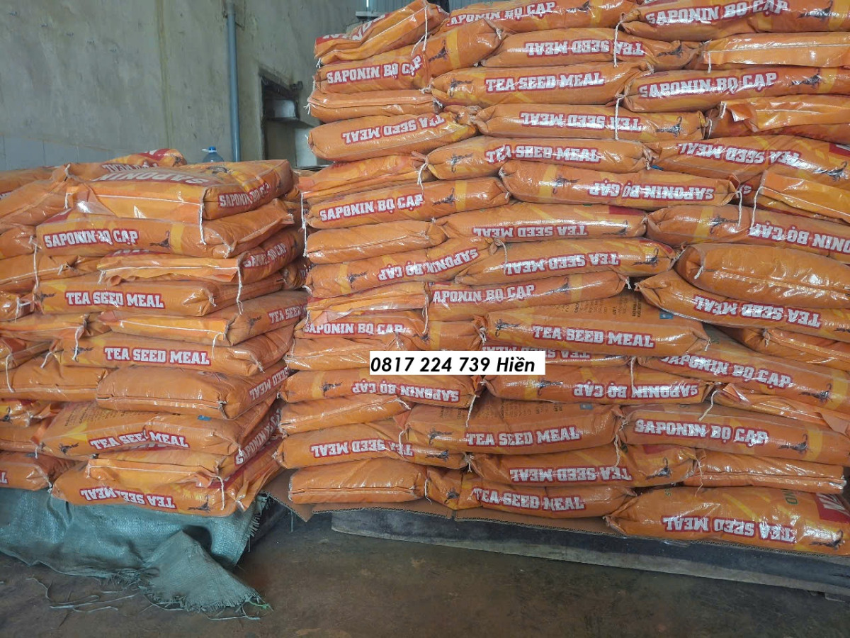 514209469_122188414442376739_5467382307777442801_n