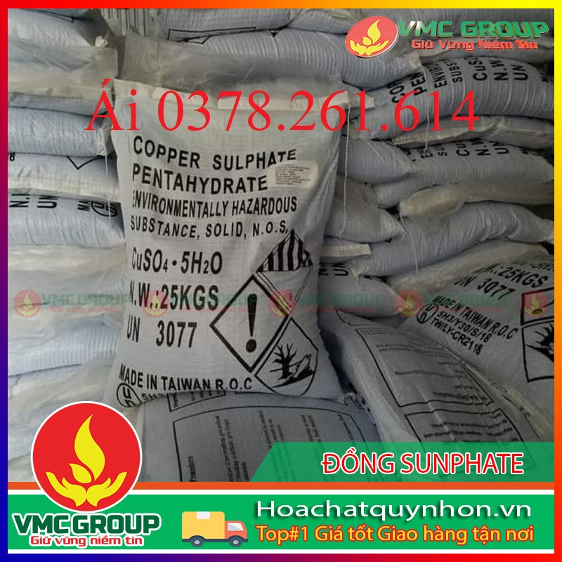 Avata-hoachatquynhonvn-41