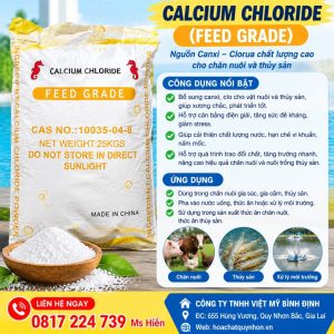 CALCIUM CHLORIDE - CACL2 BỘT - HCQN  - Ảnh 2